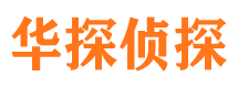 禅城侦探公司